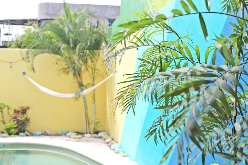 Studio -Trees At Mikasa- Near Beach, Pool, Fast Wifi, Ac & King Bed プエルト・エスコンディード エクステリア 写真